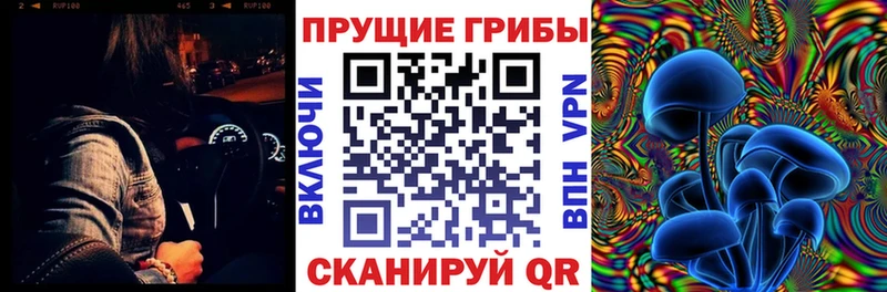 гидра как войти  купить наркотики сайты  Власиха  Галлюциногенные грибы GOLDEN TEACHER 